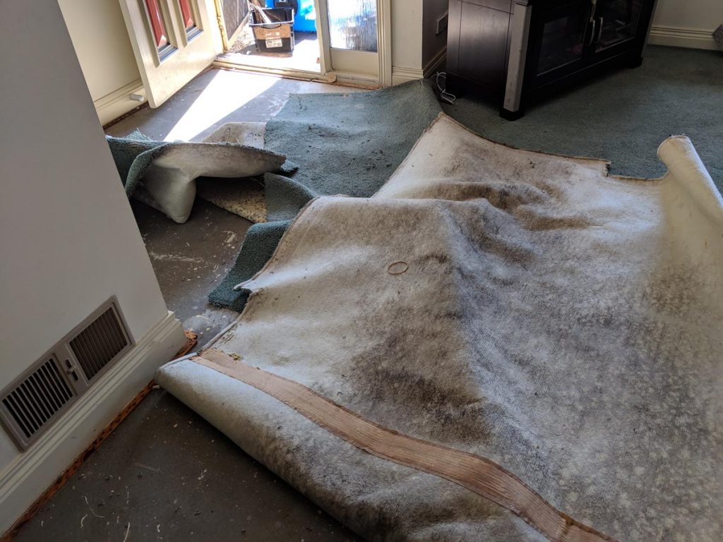 Wet Carpet Help Melbourne Flooding & Water Damage Restoration