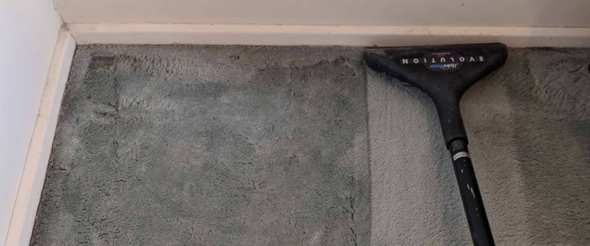 Office Carpet Steam Cleaning Melbourne CBD 20+ Years of Experience