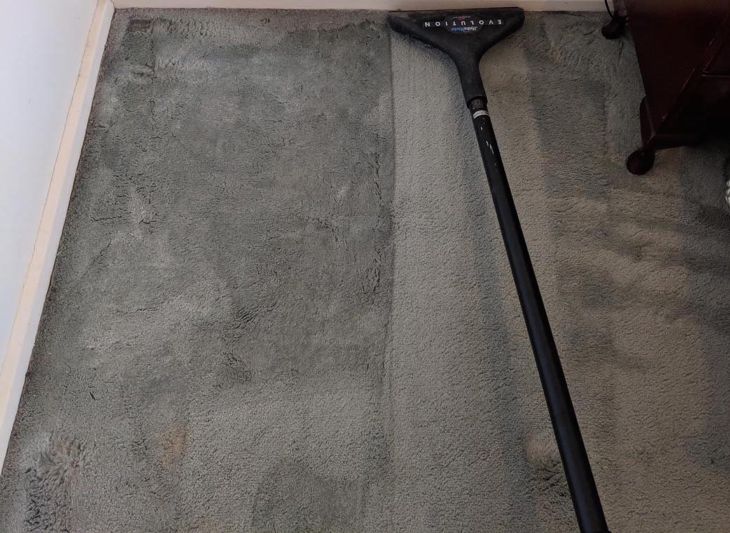 Office Carpet Steam Cleaning Melbourne CBD 20+ Years of Experience
