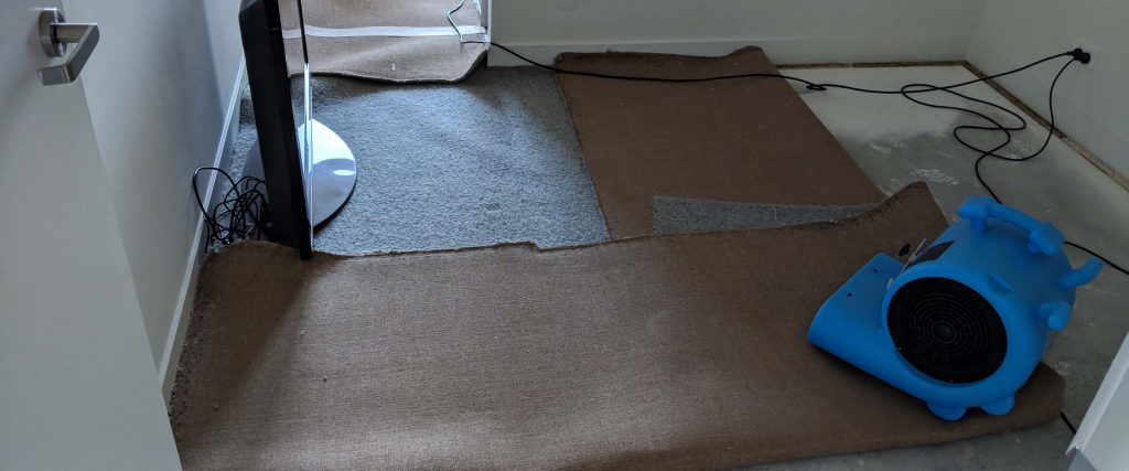 Air blowers drying wet carpets in Melbourne CBD