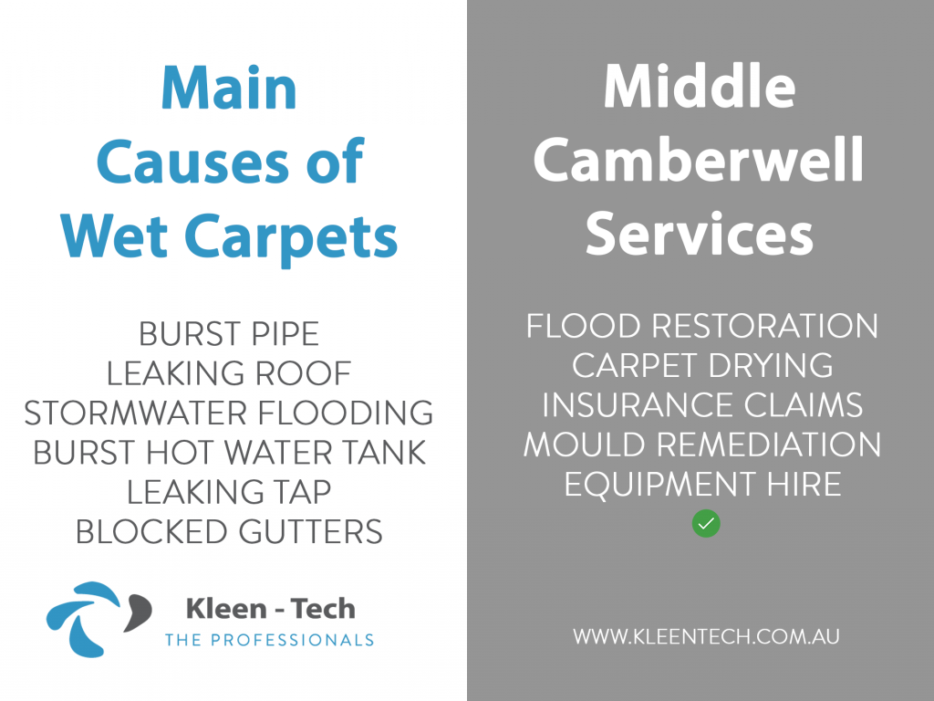 Carpet drying in Middle Camberwell, Melbourne