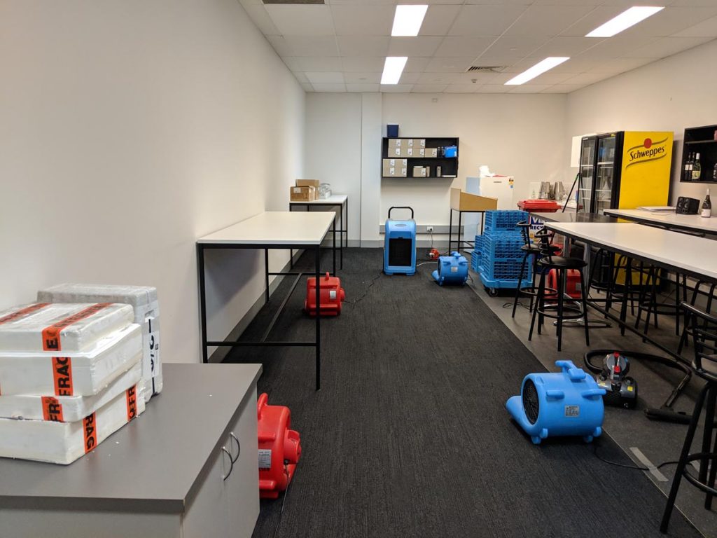 Mould Removal And Flood Cleaning Lower Plenty Melbourne Kleen-Tech