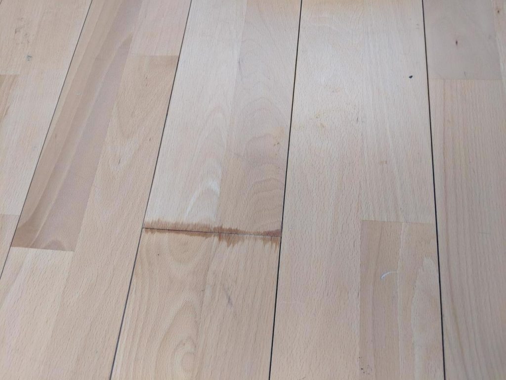 Mould Removal Port Melbourne Melbourne Kleen-Tech