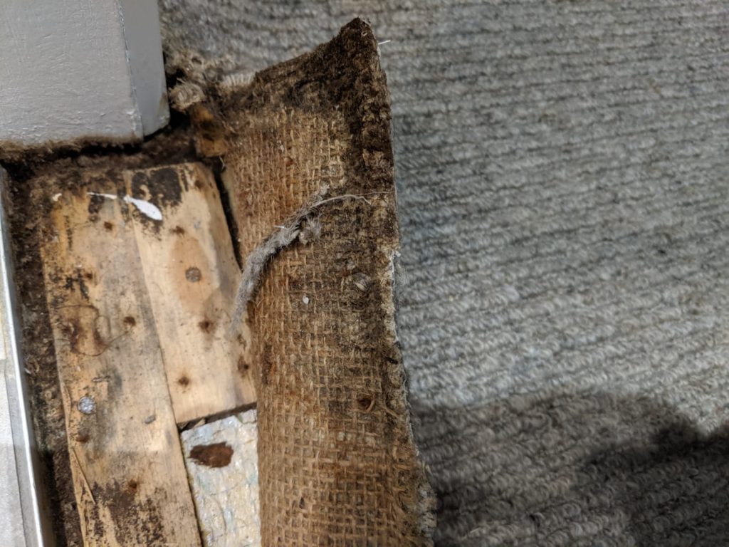 Mould Removal And Flood Cleaning Shaw Melbourne Kleen-Tech