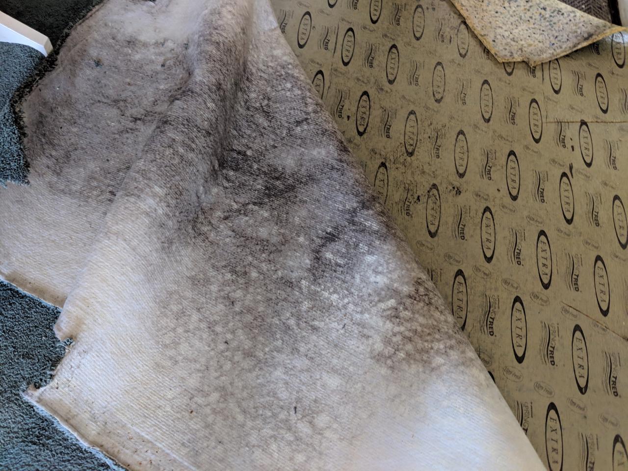 When does carpet underlay need to be replaced? Read more here.