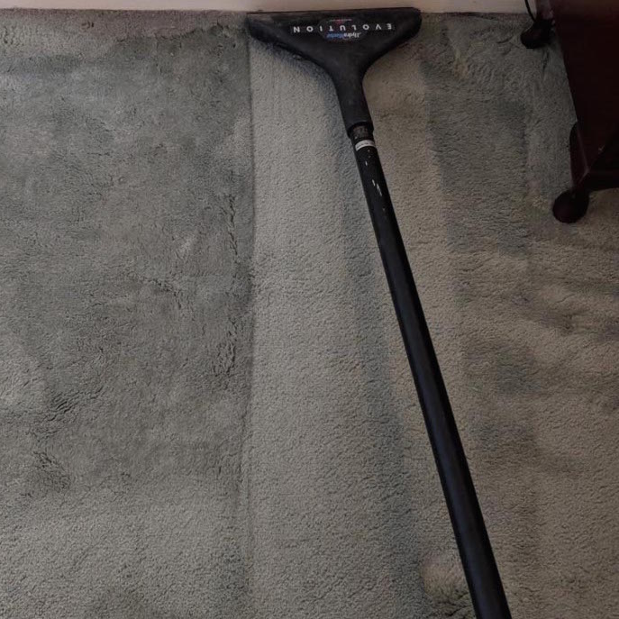 Carpet Steam Cleaning Camberwell