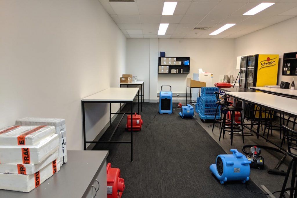 Carpet Drying in Calder Park 3037