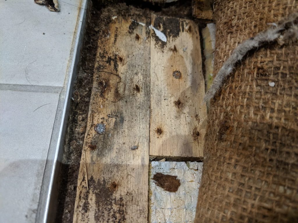 Mould Clean up in Hawksburn